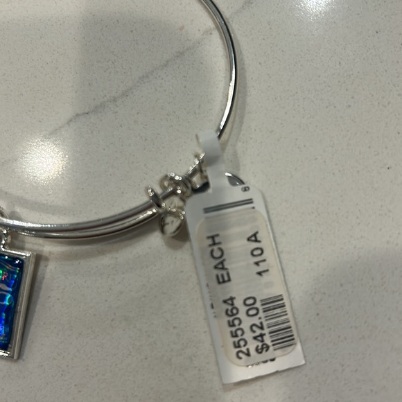 Alex and Ani Biltmore Estates 125 Year Anniversary Bracelet NWT - Picture 2 of 2